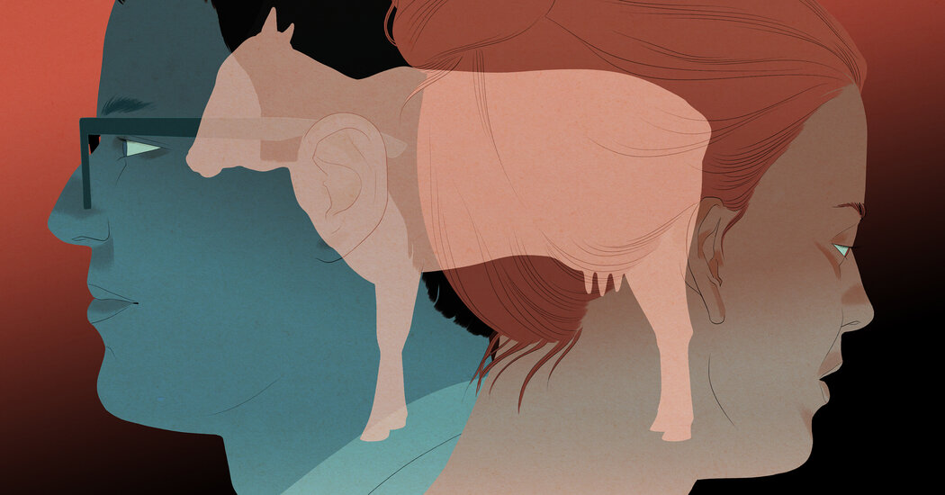 Book Review: ‘Choice,’ by Neel Mukherjee Book Review: ‘Choice,’ by Neel Mukherjee
