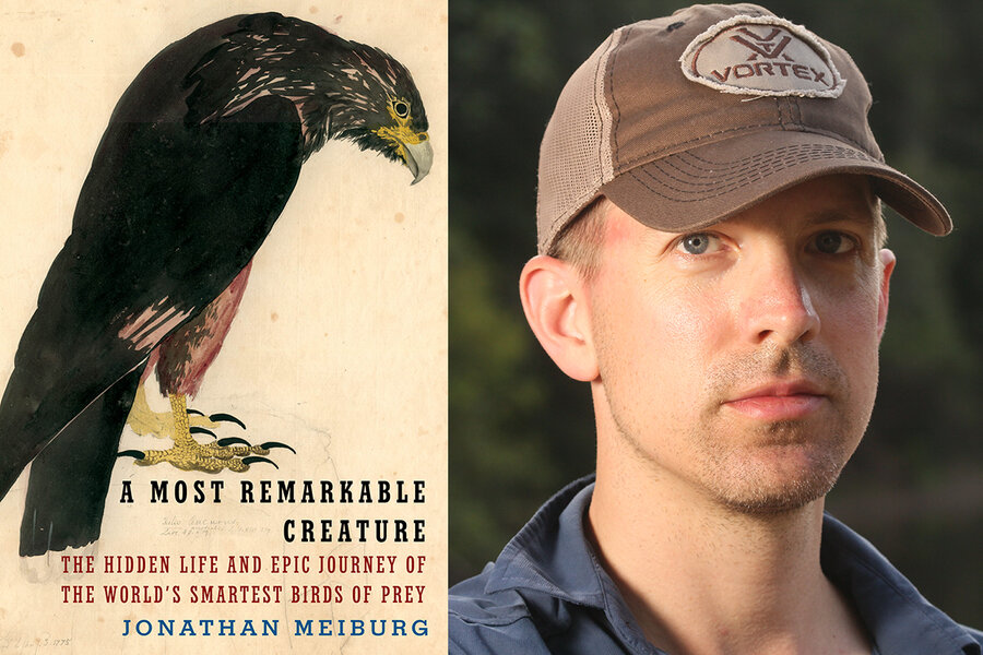 Raptor rapture: Jonathan Meiburg’s ‘A Most Remarkable Creature’ Raptor rapture: Jonathan Meiburg’s ‘A Most Remarkable Creature’