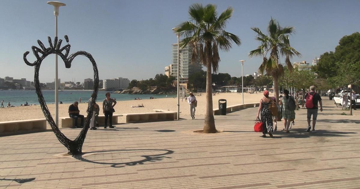 Calvia brings forward the celebration of Book Day with a day full of activities in Palmanova Calvia brings forward the celebration of Book Day with a day full of activities in Palmanova