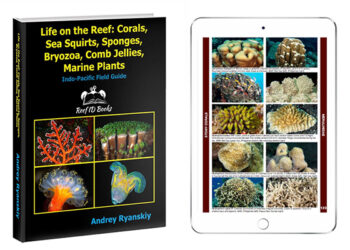Corals, Sea Squirts, Sponges, Bryozoa, Comb Jellies, Marine Plants” by Andrey Ryanskiy