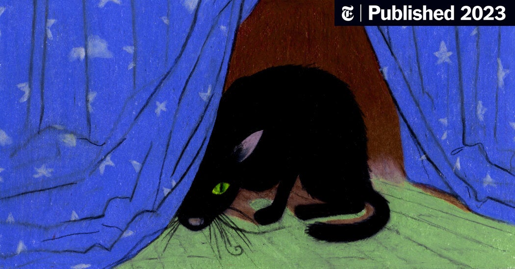 Opinion | A.I. Can’t Write My Cat Story Because It Hasn’t Felt What I Feel Opinion | A.I. Can’t Write My Cat Story Because It Hasn’t Felt What I Feel