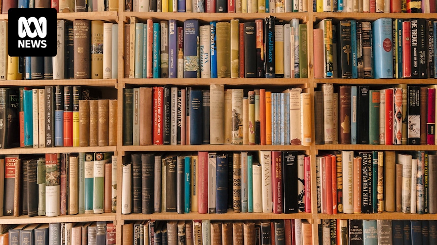 Why do books have chapters? How writing changed from antiquity to children’s books and streaming