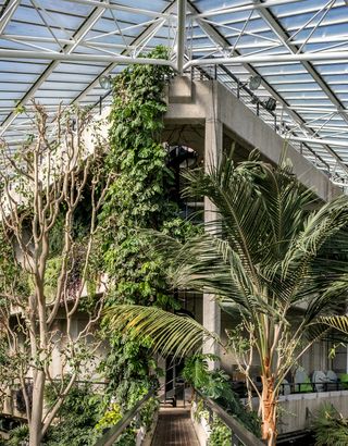 The Barbican Conservatory, London, United Kingdom. Architect: Chamberlin, Powell and Bon