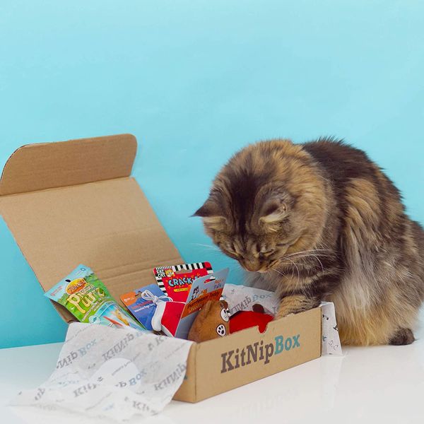 KitNipBox