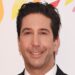 Friends alum David Schwimmer set to star in Disney’s Goosebumps anthology series for second season… as Ana Ortiz also joins the new cast Friends alum David Schwimmer set to star in Disney’s Goosebumps anthology series for second season… as Ana Ortiz also joins the new cast