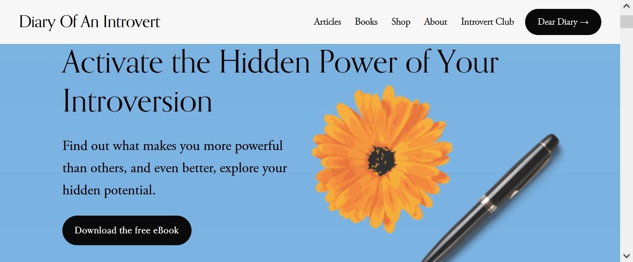 Diary of An Introvert website page