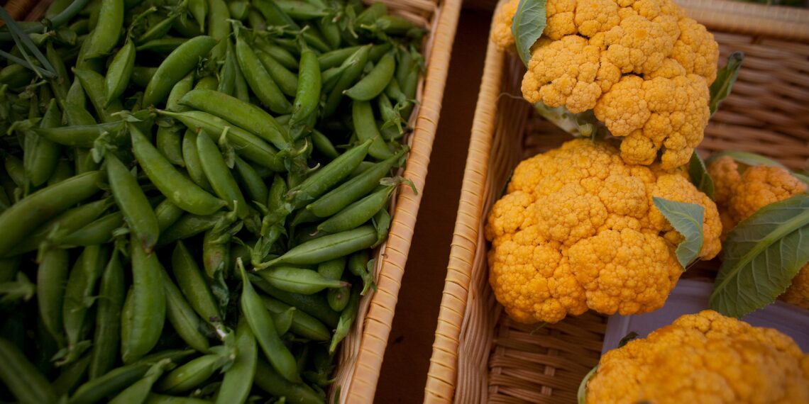 Author Robert Paarlberg argues against buying organic — Harvard Gazette Author Robert Paarlberg argues against buying organic — Harvard Gazette