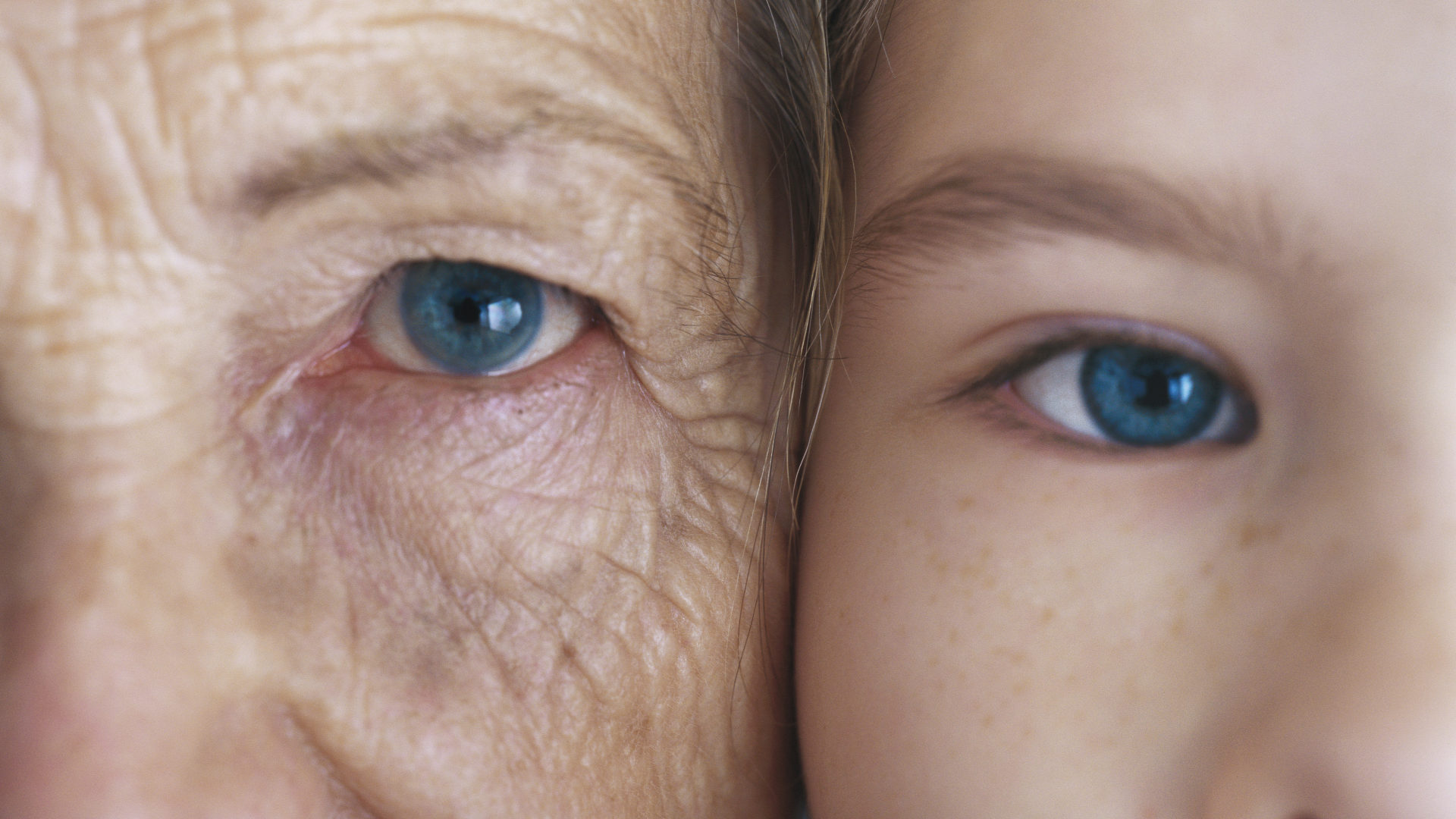 A New Chapter in the Quest for a Longer Life