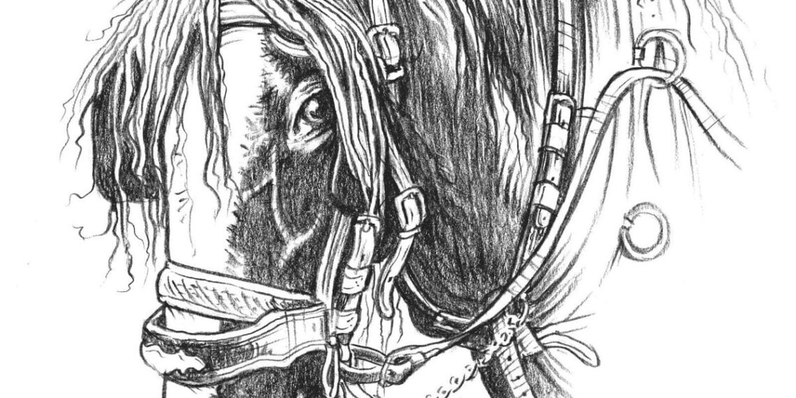 Library to host launch of new Shropshire poetry book Library to host launch of new Shropshire poetry book