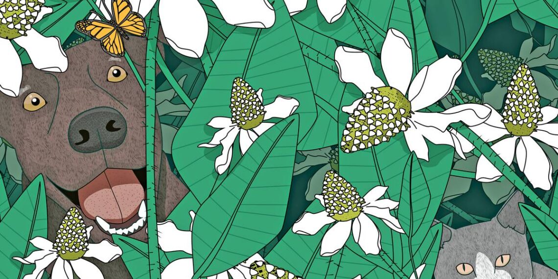 SFR Writing Contest Essay Winners | SFR Writing Contest Essay Winners |