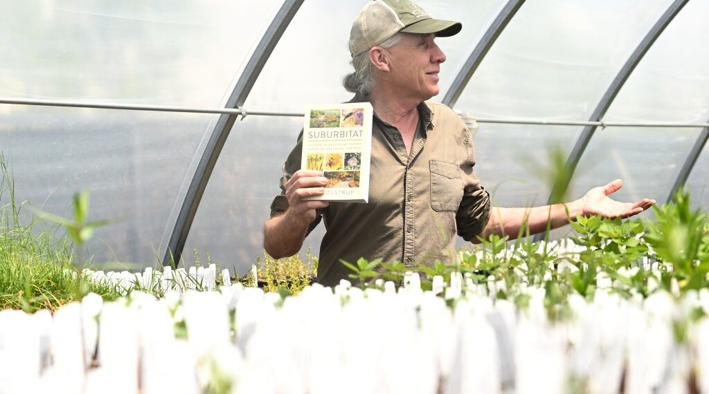 Dance, Memorial Day observance, music and more – Loveland Reporter-Herald Dance, Memorial Day observance, music and more – Loveland Reporter-Herald