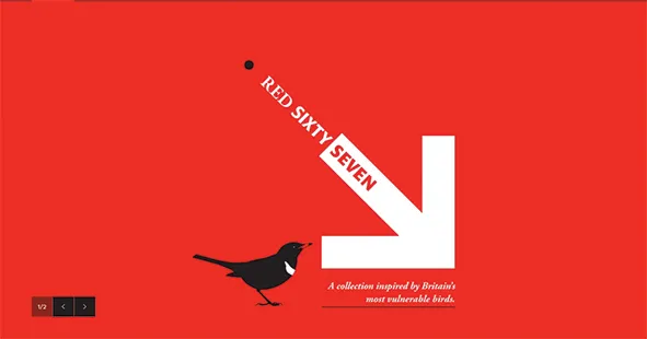 Screenshot_2020-01-18-British-Trust-for-Ornithology-Red-67-shop