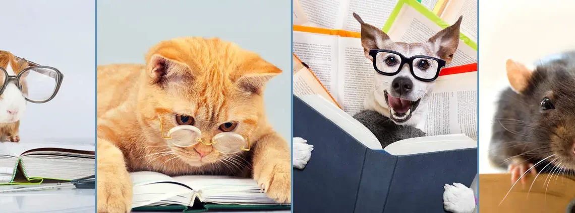 Tails of Hope short story contest for kids back in Pickering