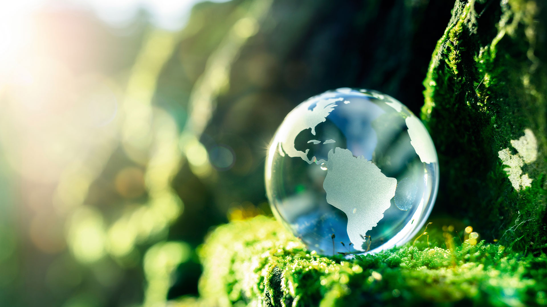 The Bookseller – Comment – We can only be sustainable together