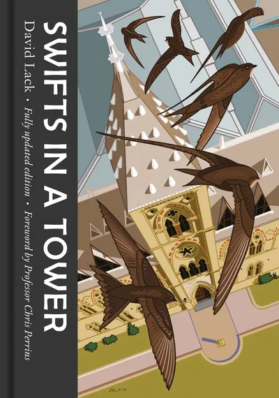 Swiftsinatower-b527bad