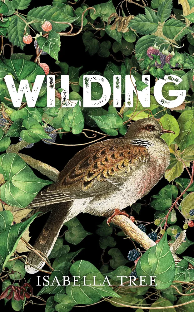 Wilding-666b515