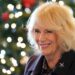 Charity set up by Queen to launch podcast with guests including Joanna Lumley