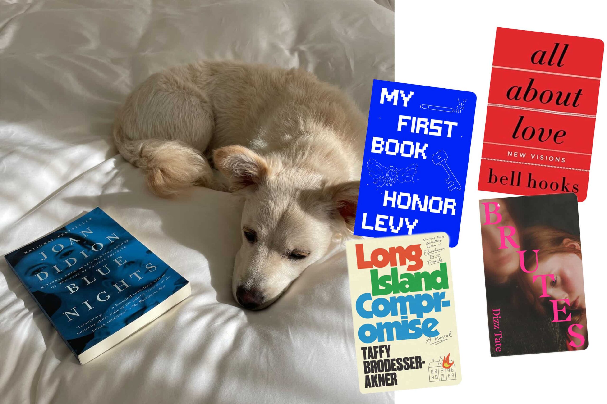 9 of our favourite local and celebrity book clubs to join in 2024 9 of our favourite local and celebrity book clubs to join in 2024