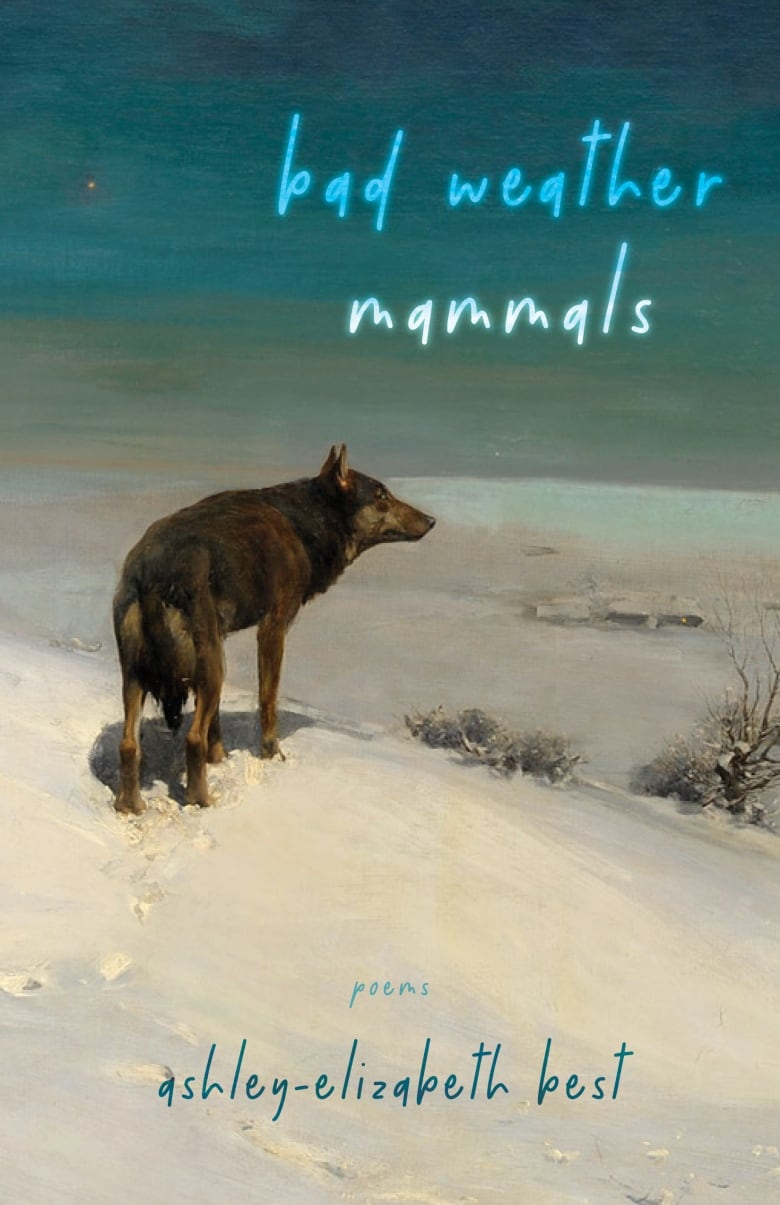 The book cover with an illustration of a wolf on a snowy scenery