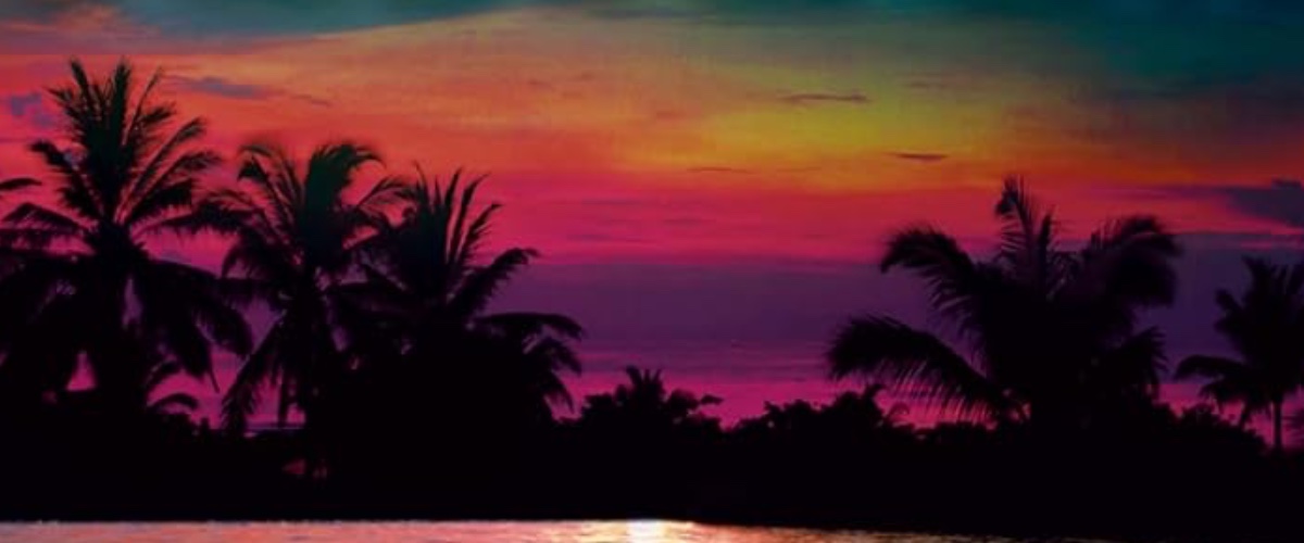 10 New Books Coming Out This Week ‹ CrimeReads