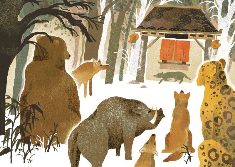 Illustrator Wenjia Tang’s first fiction book is a beautiful exploration of mankind’s relationship with nature