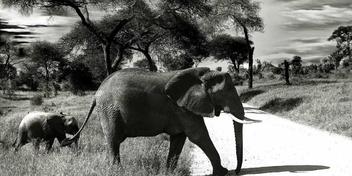 How to Write a Novel w/ ADHD? With Observation, Hyperfocus, Creativity