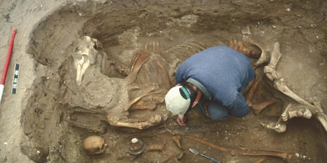 Lakenheath’s Anglo-Saxon past uncovered in new book