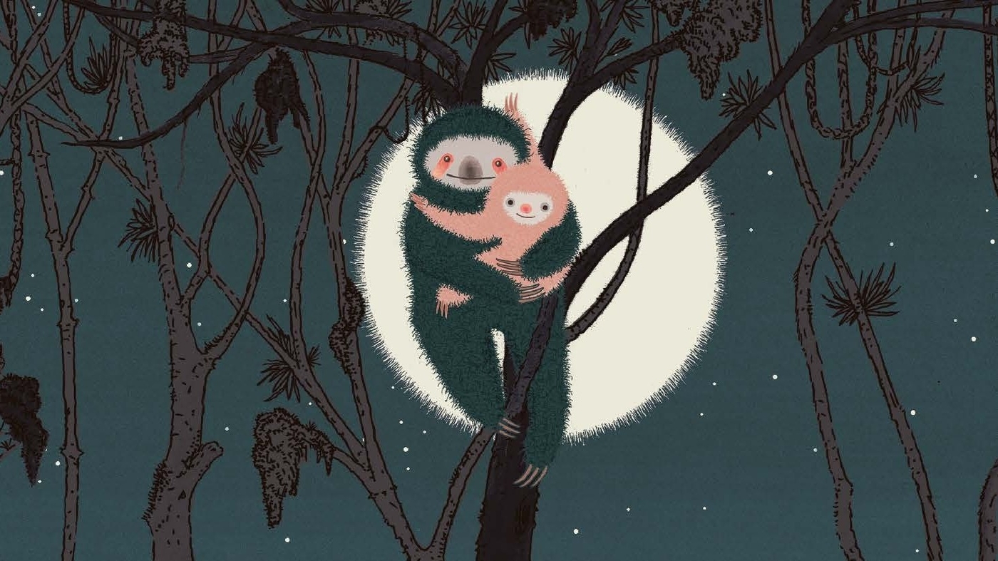 A baby sloth falls out of a tree in the picture book ‘Mama in the Moon’ : NPR A baby sloth falls out of a tree in the picture book ‘Mama in the Moon’ : NPR