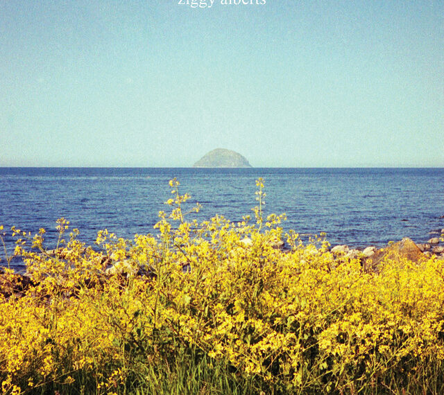 Ziggy Alberts releases poetry book