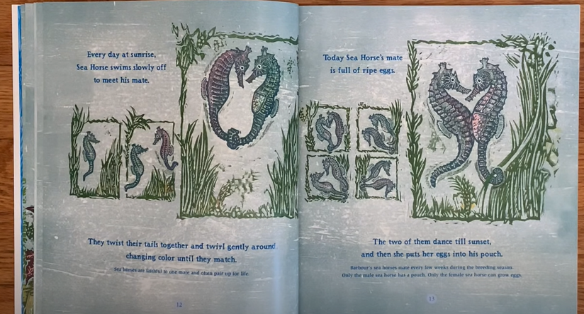 seahorse-pages