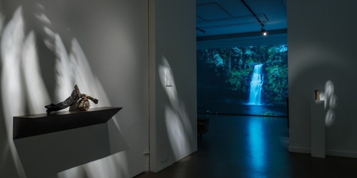 ‘Transformative’ book sculptures connect humans with nature in new Hilo exhibit