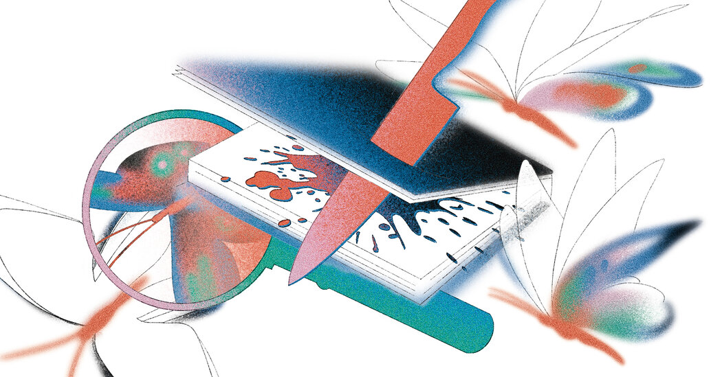 New Mysteries for Summer – The New York Times New Mysteries for Summer – The New York Times