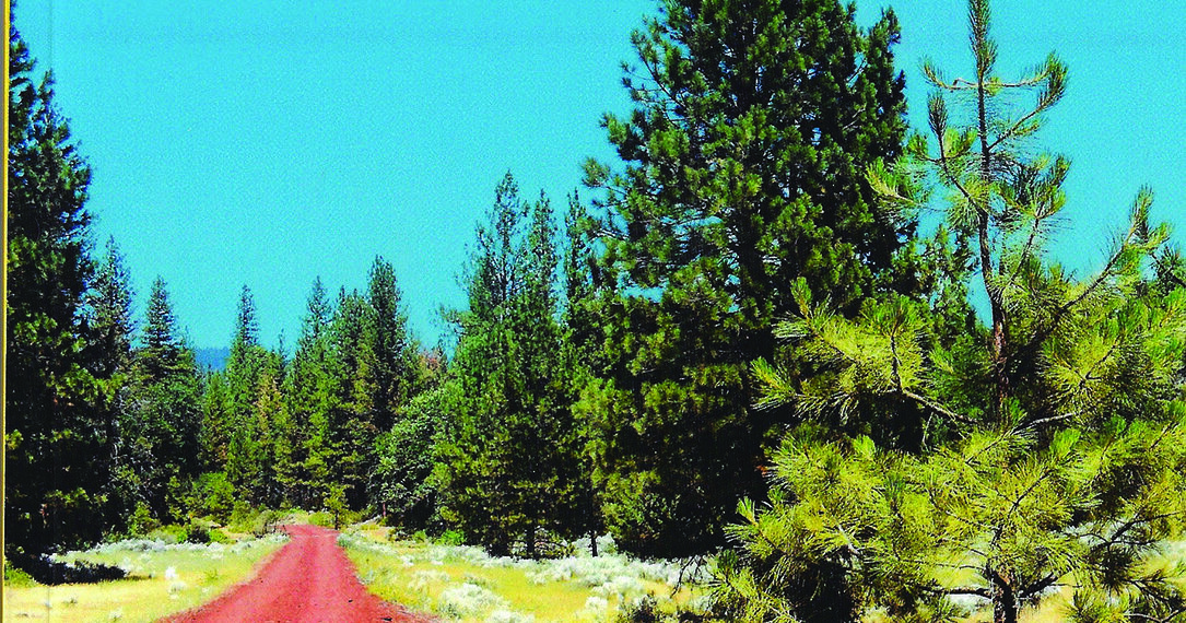 Explore rail trails in new book Explore rail trails in new book