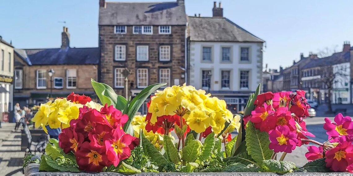 Northumberland’s newest book and film festival set to host audience with Vera author Ann Cleeves and dinner with LJ Ross