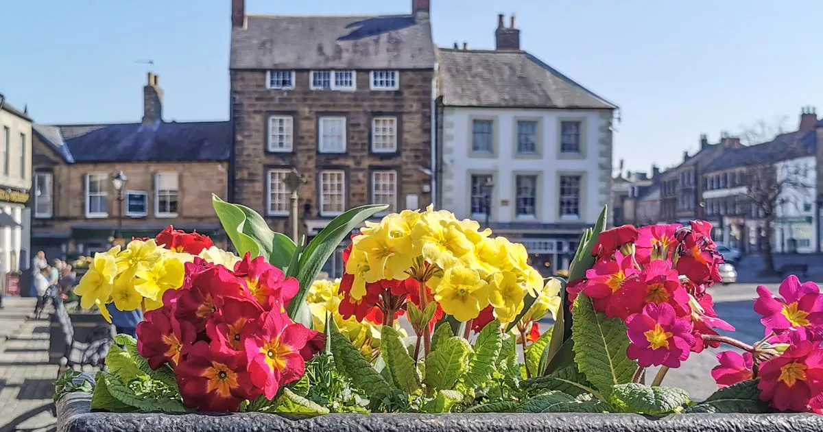 Northumberland’s newest book and film festival set to host audience with Vera author Ann Cleeves and dinner with LJ Ross Northumberland’s newest book and film festival set to host audience with Vera author Ann Cleeves and dinner with LJ Ross