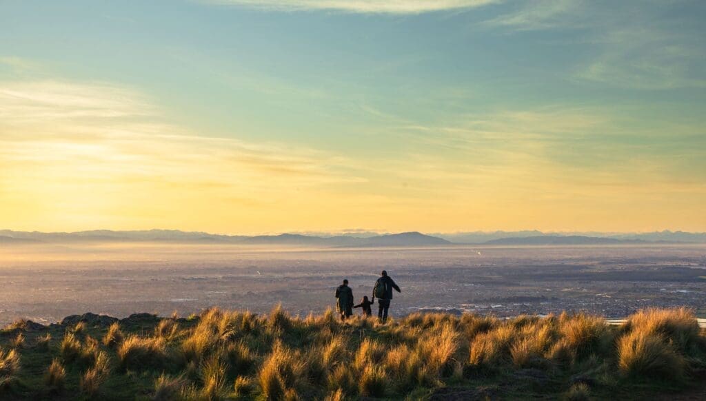 ANZCRO New Zealand Highways