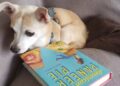 Supriya Kelkar discusses American as Paneer Pie…with Her Dog | Author Interview