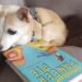 Supriya Kelkar discusses American as Paneer Pie…with Her Dog | Author Interview Supriya Kelkar discusses American as Paneer Pie…with Her Dog | Author Interview