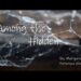 Among the Hidden By: Margaret Peterson Haddix Book Trailer