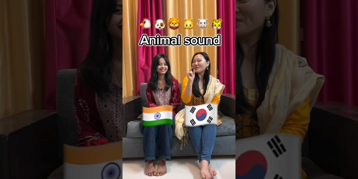 Animal Sounds In 🇮🇳 & 🇰🇷😂Watch Till End @KoreanG1p #korean #bts #relatable #shorts #creator2creator