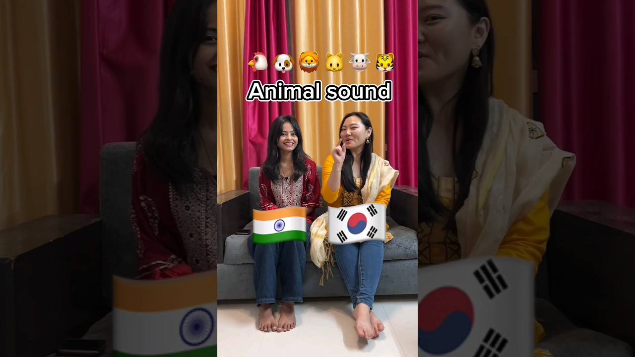 Animal Sounds In 🇮🇳 & 🇰🇷😂Watch Till End @KoreanG1p #korean #bts #relatable #shorts #creator2creator Animal Sounds In 🇮🇳 & 🇰🇷😂Watch Till End @KoreanG1p #korean #bts #relatable #shorts #creator2creator
