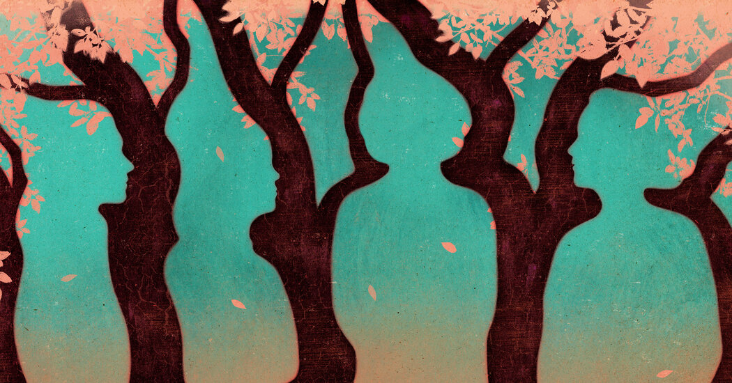 Book Review: ‘Tom Lake,’ by Ann Patchett Book Review: ‘Tom Lake,’ by Ann Patchett