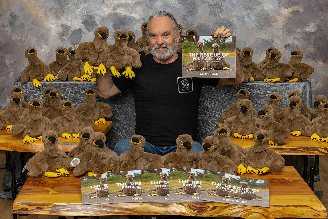 Eagle rescue book wins indie publishing award Eagle rescue book wins indie publishing award