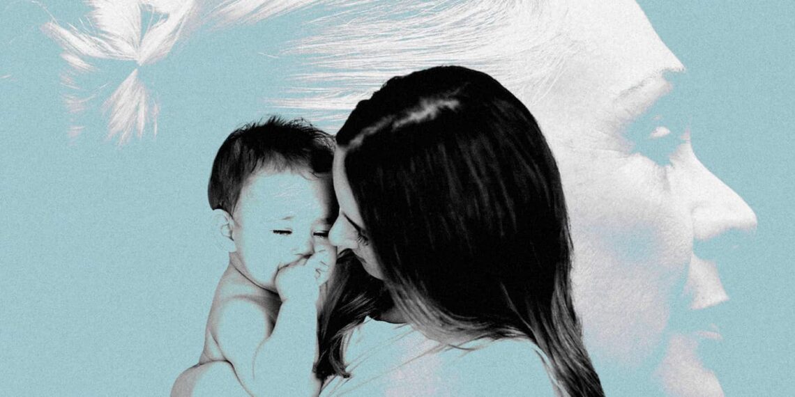 Same As It Ever Was by Claire Lombardo book review