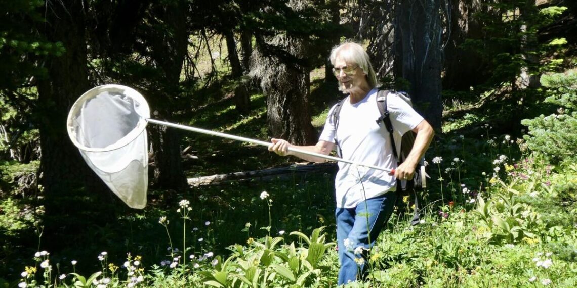 Butterfly expert David James of Yakima shares passion in new book | Local Butterfly expert David James of Yakima shares passion in new book | Local