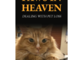 Local author’s new book is about coping with loss of pet | Features Local author’s new book is about coping with loss of pet | Features