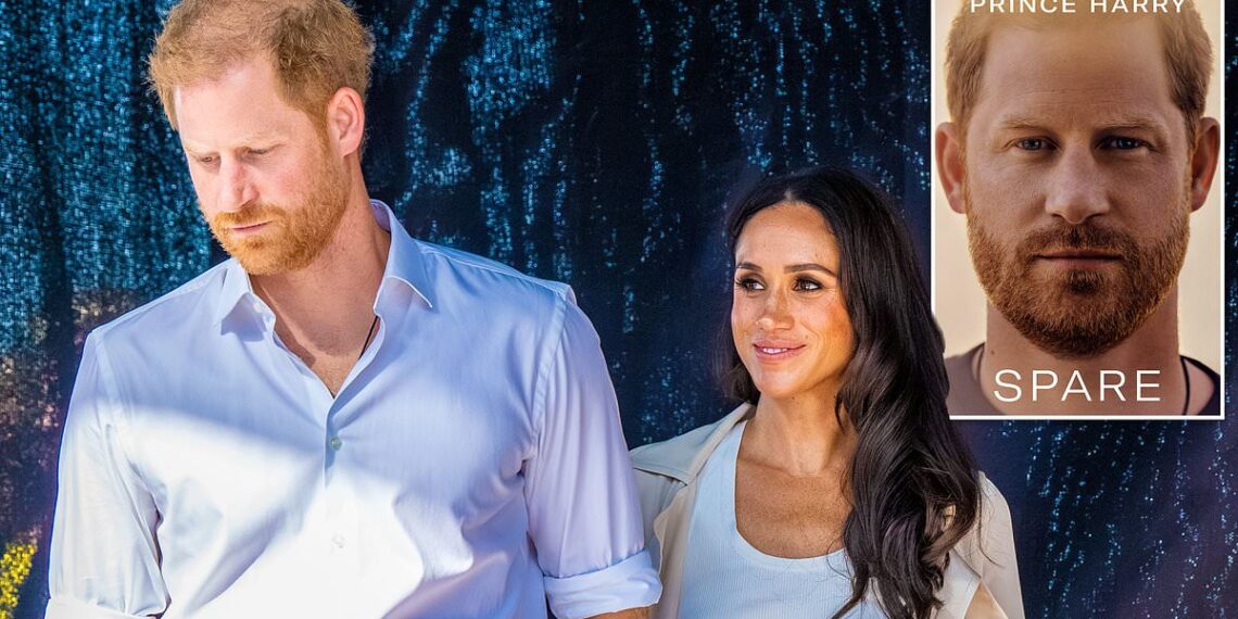 The Sussexes must have felt on top of the world with Spare the fastest-selling non-fiction book ever and a ‘£88million Netflix deal’ in the bag… So why was it this year that their sanctimonious bubble burst?