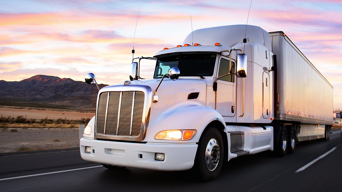 New book lifts the lid on terrifying phenomenon with truckers responsible for 850 highway murders New book lifts the lid on terrifying phenomenon with truckers responsible for 850 highway murders