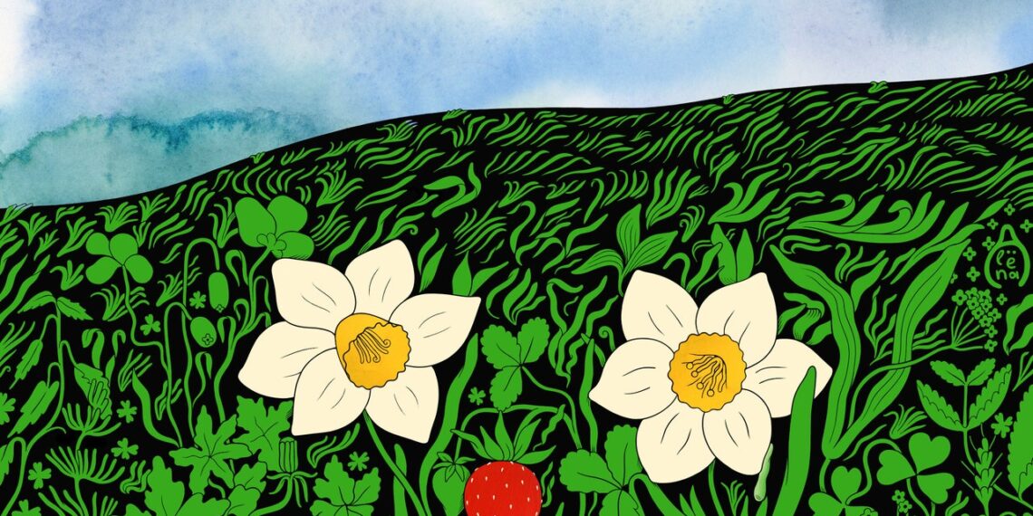 A New Book About Plant Intelligence Highlights the Messiness of Scientific Change