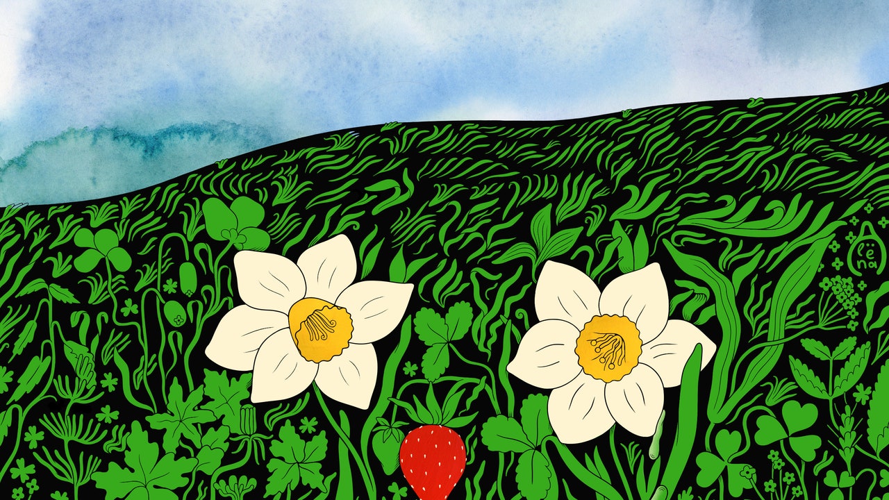 A New Book About Plant Intelligence Highlights the Messiness of Scientific Change